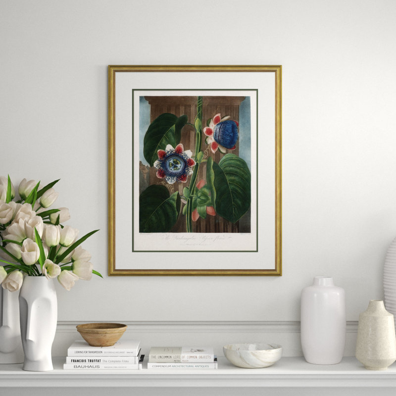Thornton's Botanicals Giclee Print by Robert John Thornton