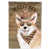 Corgi