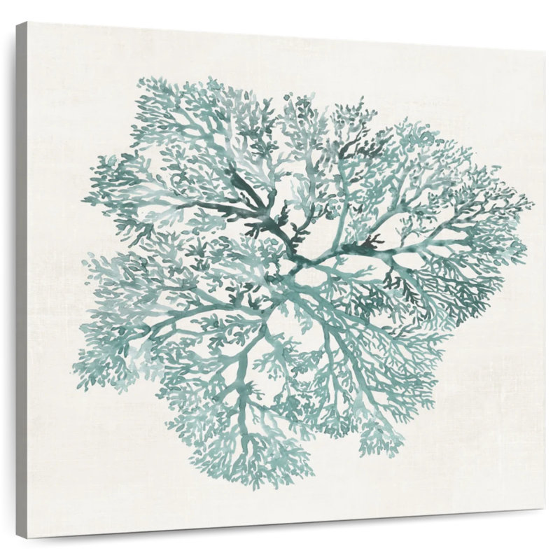 Corail Adeliza bleu sarcelle