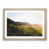 Oak Framed selected