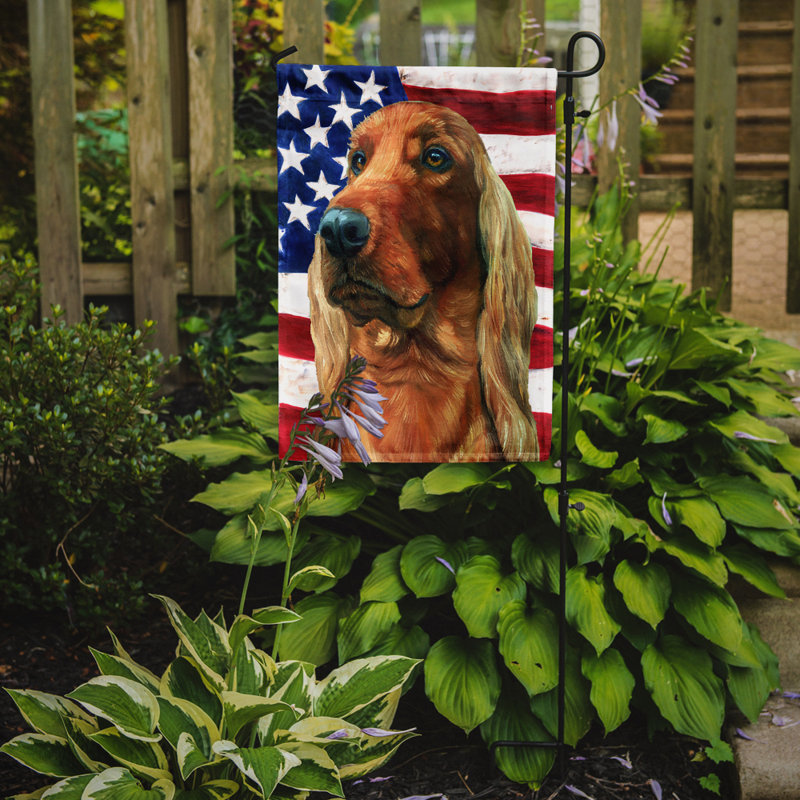 2 côtés en polyester de 2 côtés american drapeau de jardin, Setter irlandais brun