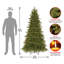 Grande Fir Medium Tree with Clear Lights-367456524