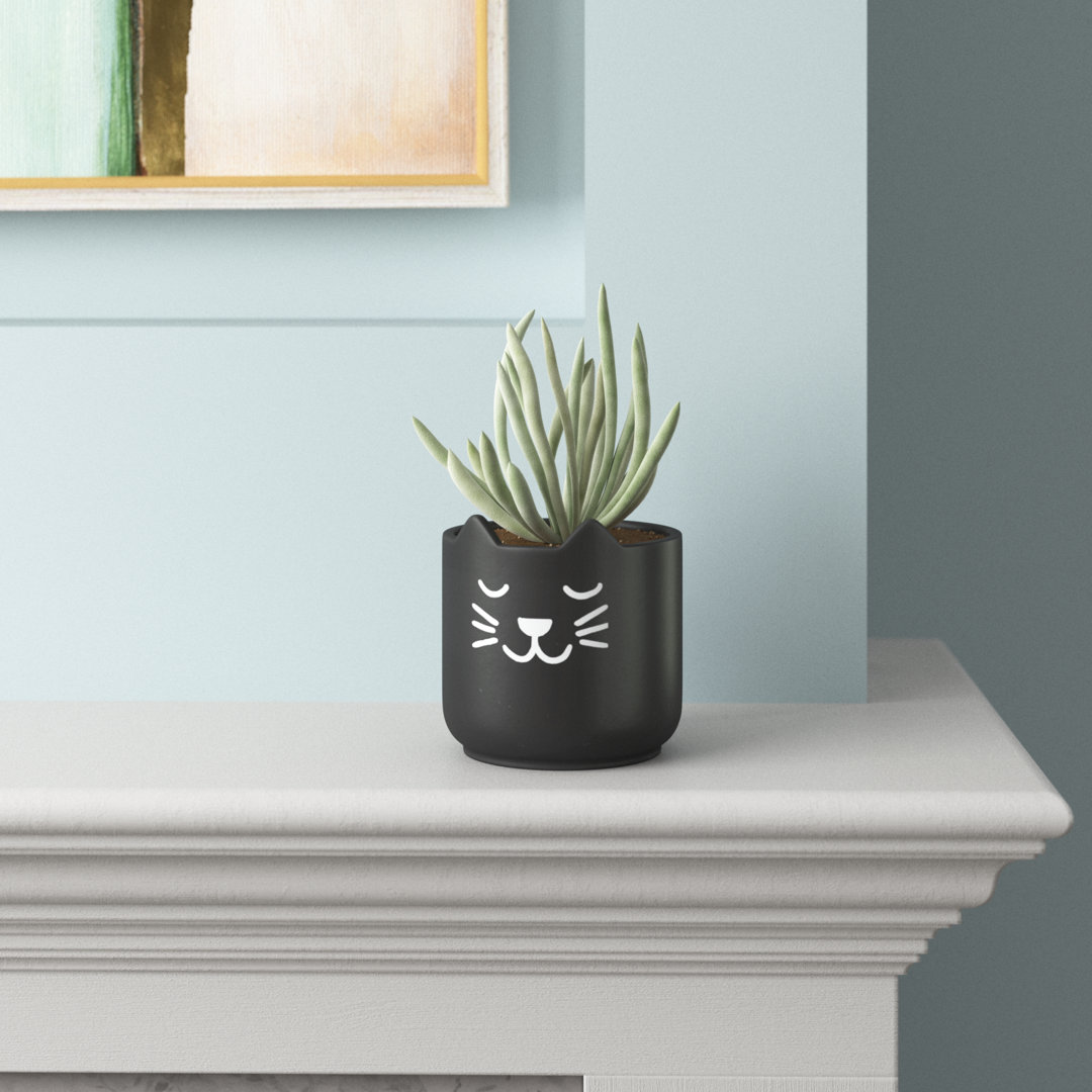 Pruitt  Small Cat Cachepot The Twillery Co.®