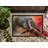 Raynita Non-Slip Doormat-1758549036