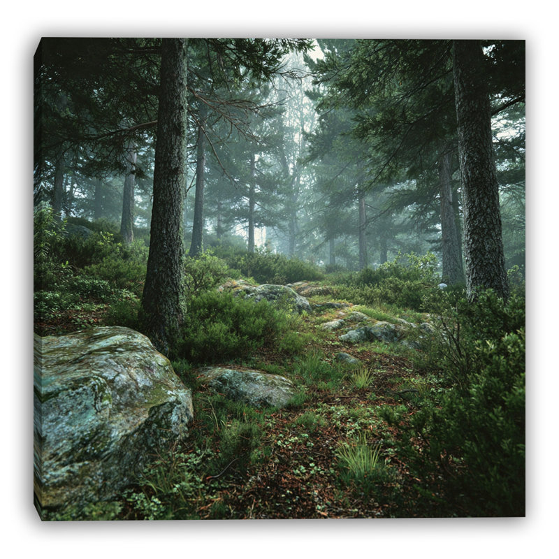 «Forest Awakening», art mural sur toile, H 30 po x l 30 po