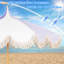  Parasol de 6,5 pi-848902962