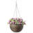 Eckart Hanging Planter