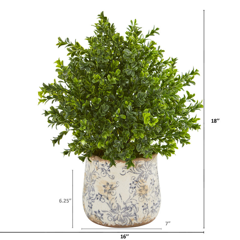 Herbe de feuillage doux dans un vase décoratif