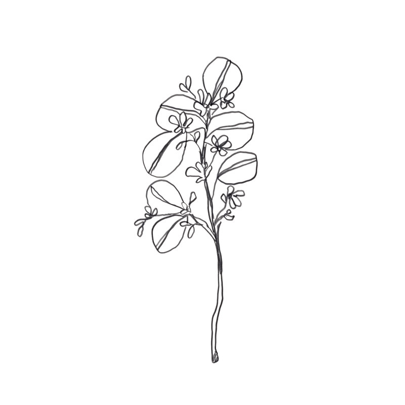 " Leaf Sprig II " Painting Print, 30" H x 20" W