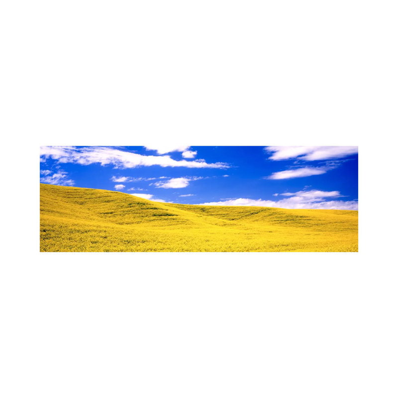 Canola Fields, Washington State, USA - Wrapped Canvas Panoramic Print, 30.48 cm H x 91.44 cm W x 1.91 cm D