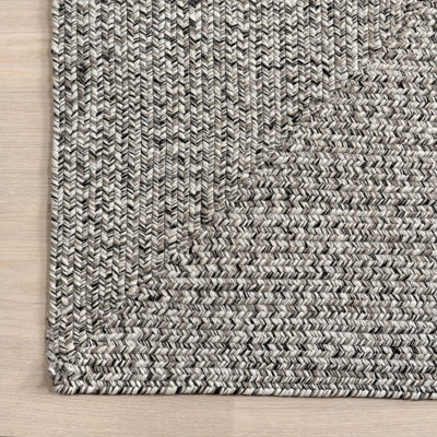 Edie Casual Braided Gray/White Indoor/Outdoor Rug