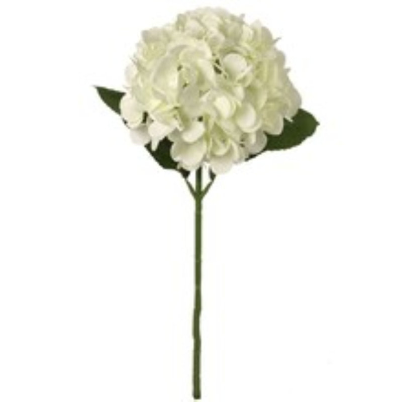 Cream Hydrangea Stems - Large 7" Blooms