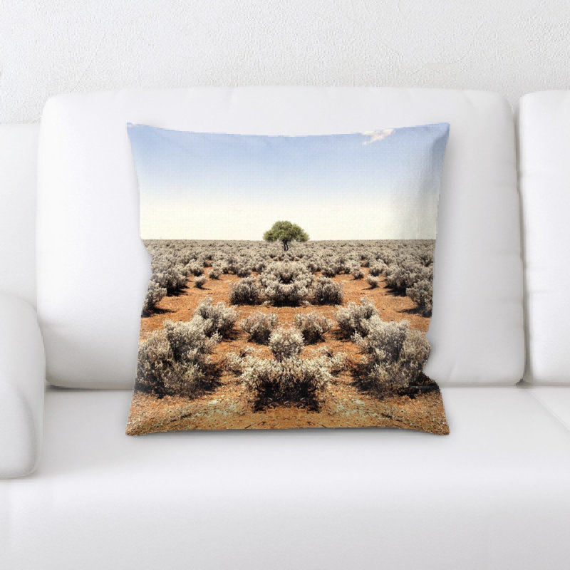 Coussin dénudés