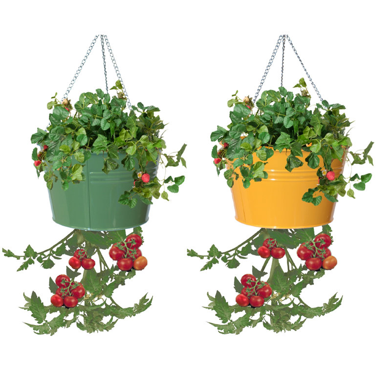 Pot à fleurs suspendu en métal Christianne, Sauge / safran