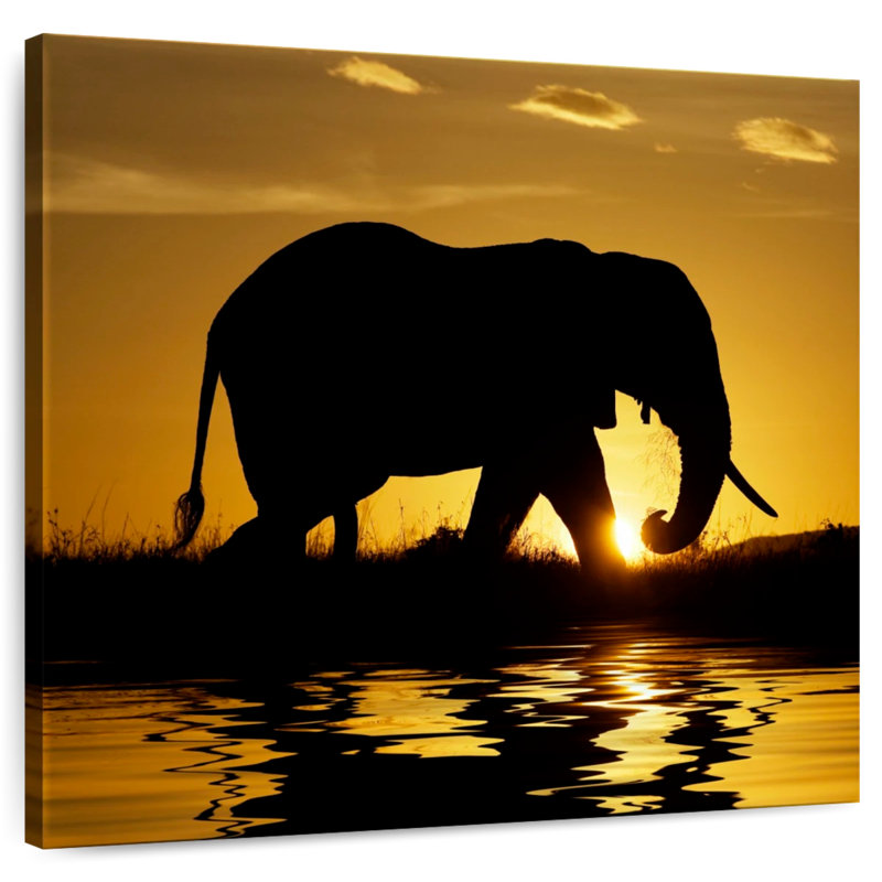 Silhouette d'éléphant Brampt au lever du soleil au Kenya, H 20 po x l 20 po