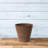 Carrero Pot Planter-579612686-579612692