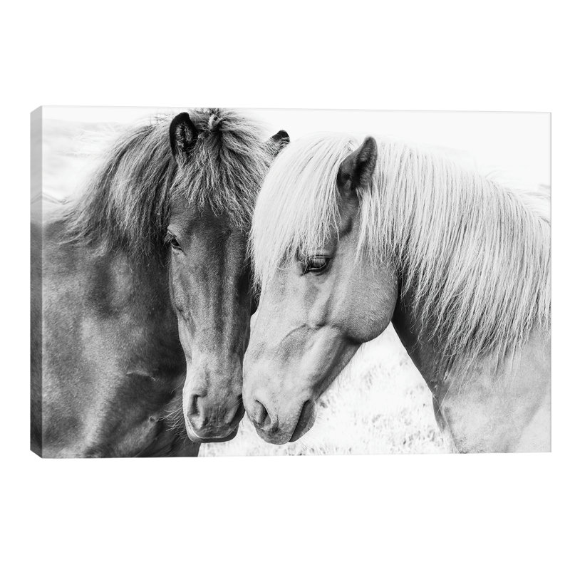 Horse Love - Wrapped Canvas Print, 101.6 cm H x 66.04 cm W x 1.91 cm D