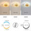 LED Semi Flush Mount