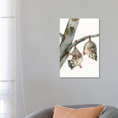 Playful Possums 1 Piece Painting on Canvas