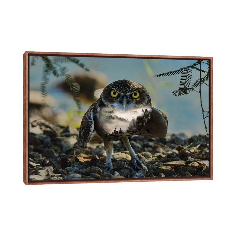 Wise Owl by Paul Haag - Print on Canvas, Classic Brown Wood Framed, 66.04 cm H x 45.72 cm W