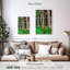 Maui Rainbow Eucalyptus Trees-108751791
