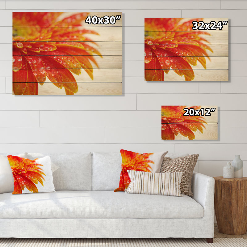 Orange Gerbera With Raindrops " Orange Gerbera With Raindrops ", 12" H x 20" W x 1" D