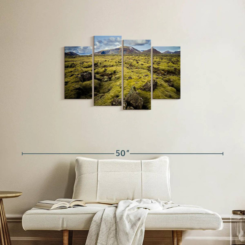 Paysage de mousse en Islande, H 22 po x l 36 po