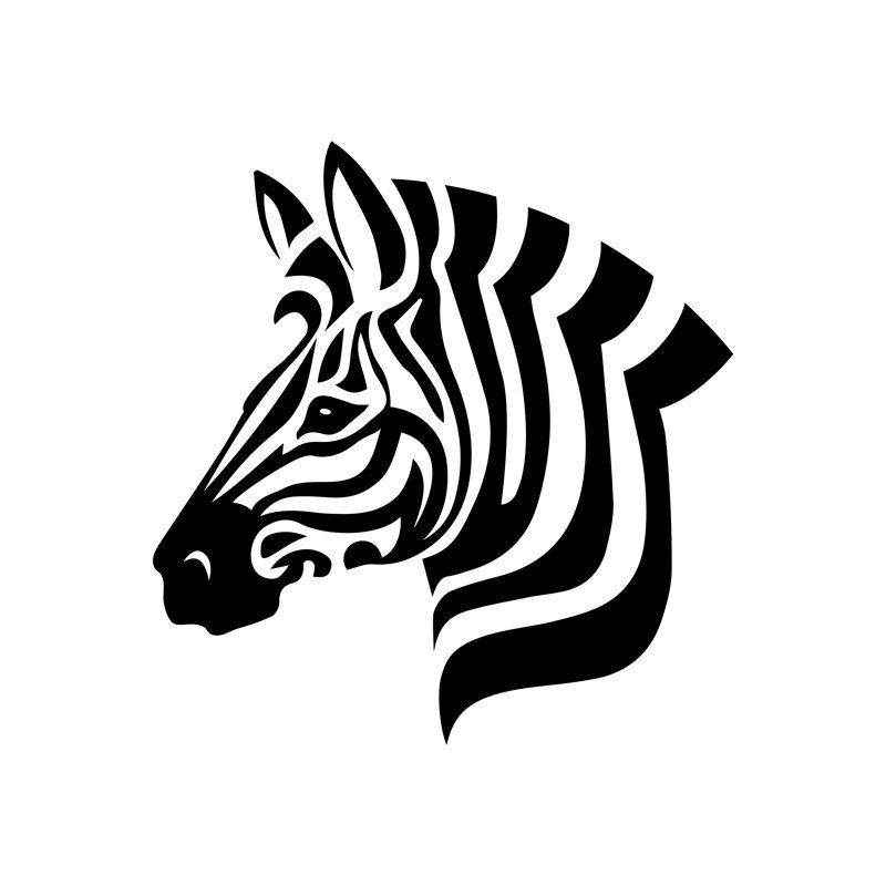 Zebra Head by Silroby - Wrapped Canvas Print, 30cm H x 30cm W x 3.8cm D