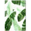 Feuilles tropicales-impression sur toile tendue-19018122