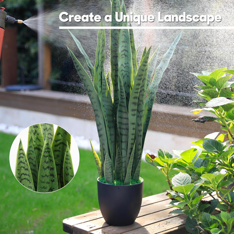 35 plantes