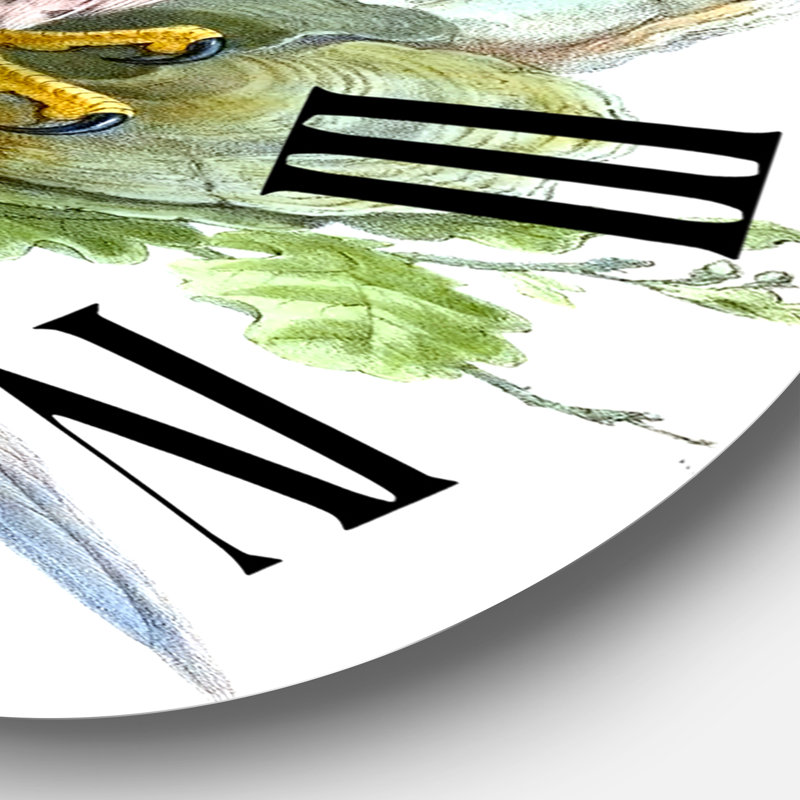 Vintage Birds II - Horloge murale traditionnelle, Moyenne