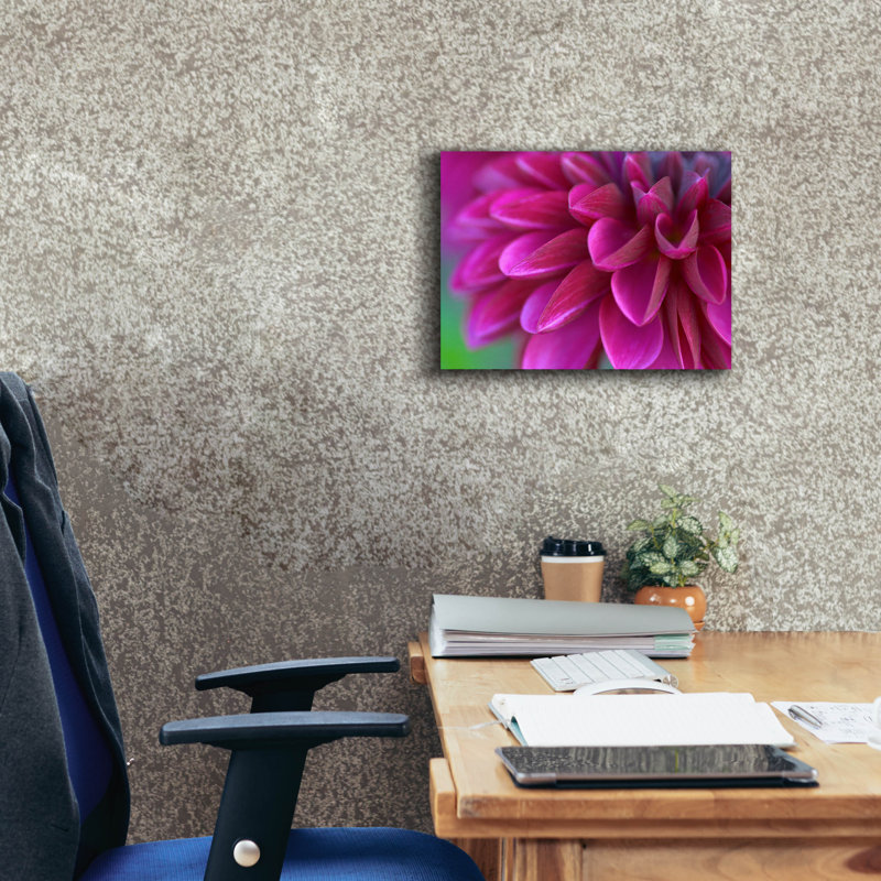 «Pink Chrysanthemum» par Photoinc Studio, art mural sur toile, 16 po x 12 po, H 12 po x l 16 po x P 0,75 po