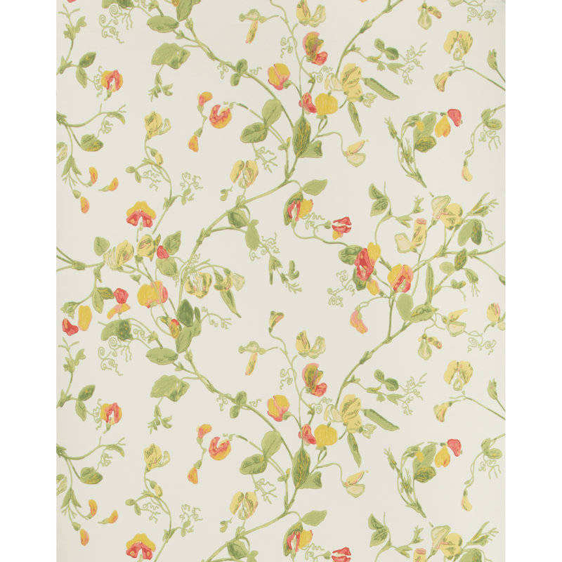 Anthology Sweet Pea Floral Wallpaper Roll, Pink/Yellow
