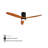 Airys 52'' Ceiling Fan with LED Lights