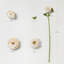 Fleurs de renoncule artificielles 15 "