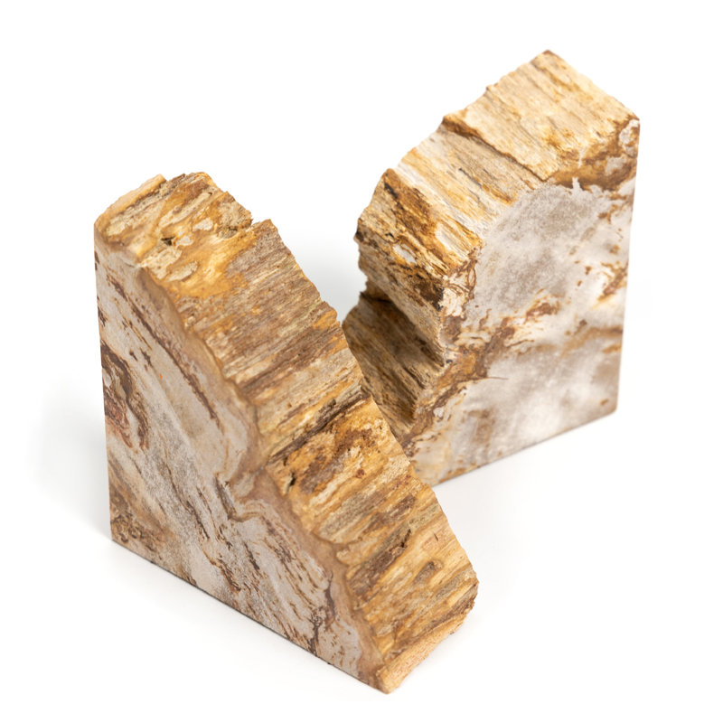 Petrified 2 Piece Wood Book End Set