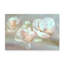 Nature Inspired Magnolia Dreams-1329607347-1329607358-1329607359
