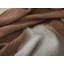 Cozy Blanket-17548476-124606278