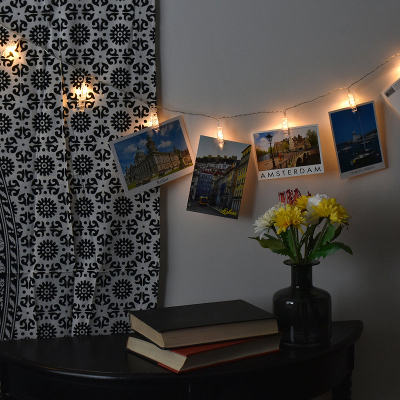 Hyer Indoor 24 - Bulb 4.5'' Battery Powered LED Novelty String Light