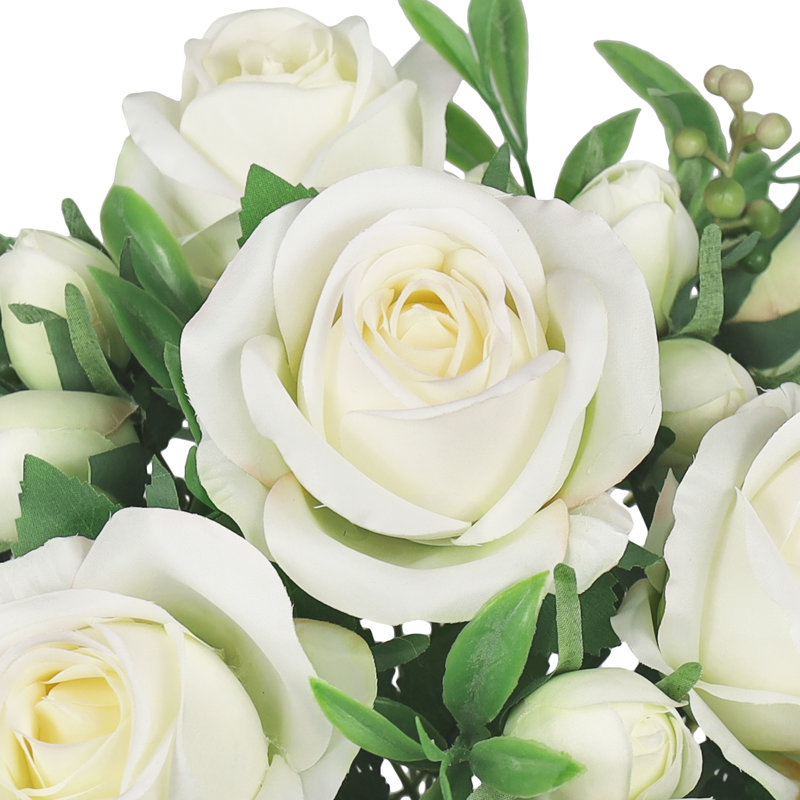 Doux jet de rose délicat, Crème / blanc