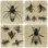 Bees Coaster