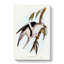 Letter-Winged Kite by Elizabeth Gould - Wrapped Canvas Art - Wrapped Canvas-55364990