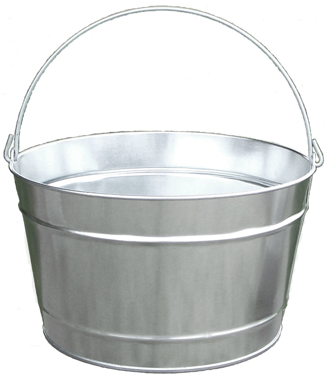 Witt Metal Bucket Reviews Wayfair