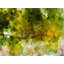 Abstract 0538 Print by Chamira Young-71200352-132862407