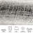 Riebe Abstract Silver/Black Area Rug-15994329
