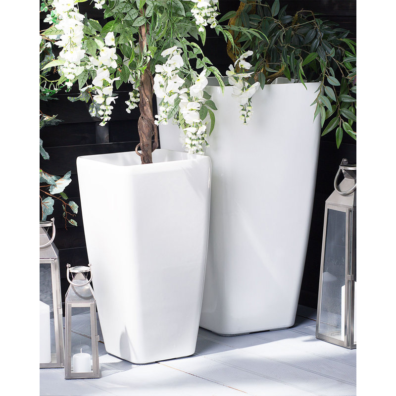 Beauen Pot Planter
