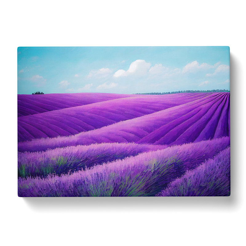 Adventurous Lavender Flower Field - Wrapped Canvas, 40cm H x 60cm W x 3cm D