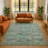 Premium Machine Washable Alaina AMF1929 Global Rug-1586929892