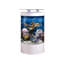 Aquarium 110-120 gallons-129229553-129229556