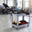 Chariot utilitaire, capacité de 250 kg, chariot de service à 2 niveaux avec roues pivotantes à 360° et roues fixes (dont 2 avec freins), en plastique robuste avec plateau de rangement, idéal pour le rangement d'outils dans un garage, un entrepôt ou un atelier (gris).